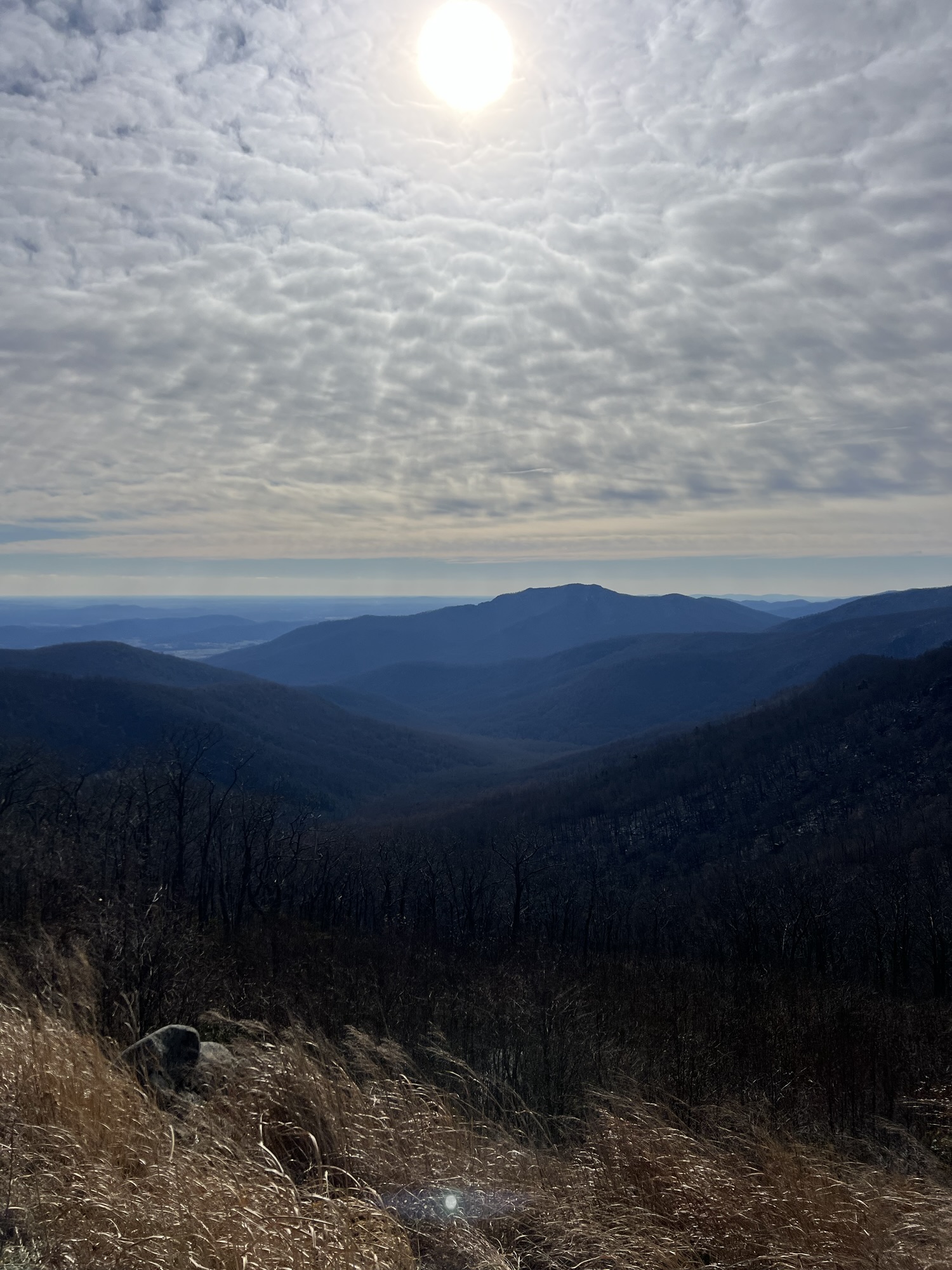 If I Won the Lottery?